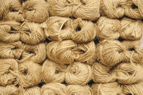  Jute: Una fibra naturale per applicazioni di ingegneria e tessili avanzati!