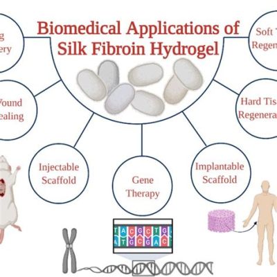 Silk Fibroin: Un Materiale Naturale per Applicazioni Biomediche Rivoluzionarie!