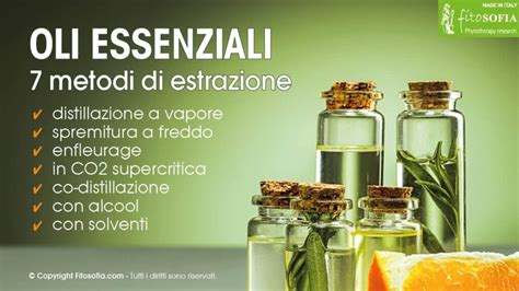 Zingiber Officinale: Estrazione di Oli Essenziali e Applicazioni in Farmaceutica!